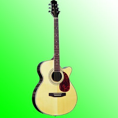 SNAG014 takamine Acoustic bass Guitar 41