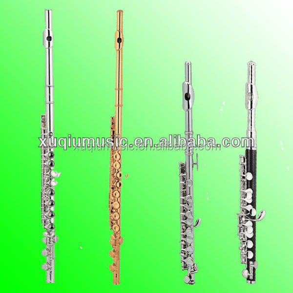 Solid Sterling Silver Student/Intermediate Flute With Cases