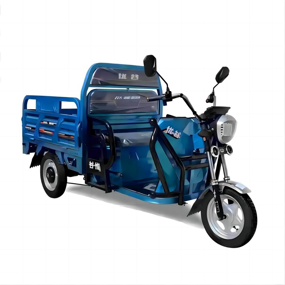 LUBEI Vehicle Manufacturer OEM/ODM 1.3m/1.5m/1.6m/1.8m Source Philippines Three wheels Electric Cargo Bike Tricycle With Cabin