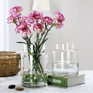 Flower arrangement, water culture, mahogany, flower decoration Hydroponics Dracaena sanderiana ins style advanced glass vase