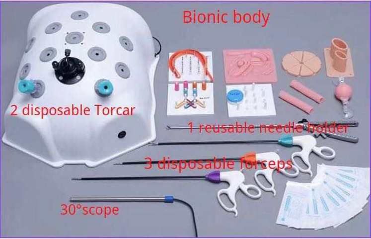 Laparoscopic Training Box Laparoscopic Surgical  Endoscope