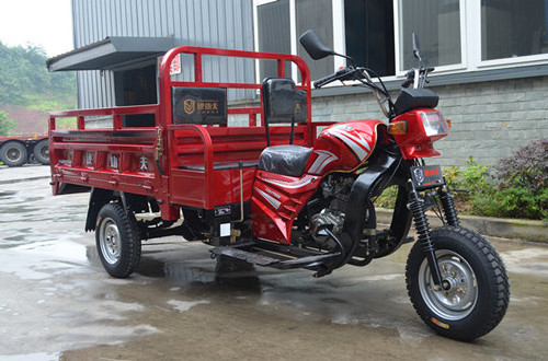 hot sale150cc motorized gas powered three wheel motorcycle/cargo tricycle with passenger seats