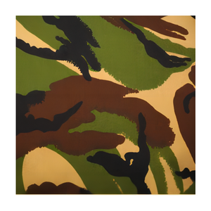 LEVITEX Manufacturer T/C 80/20 Customized Desert Pattern Camouflage Fabric