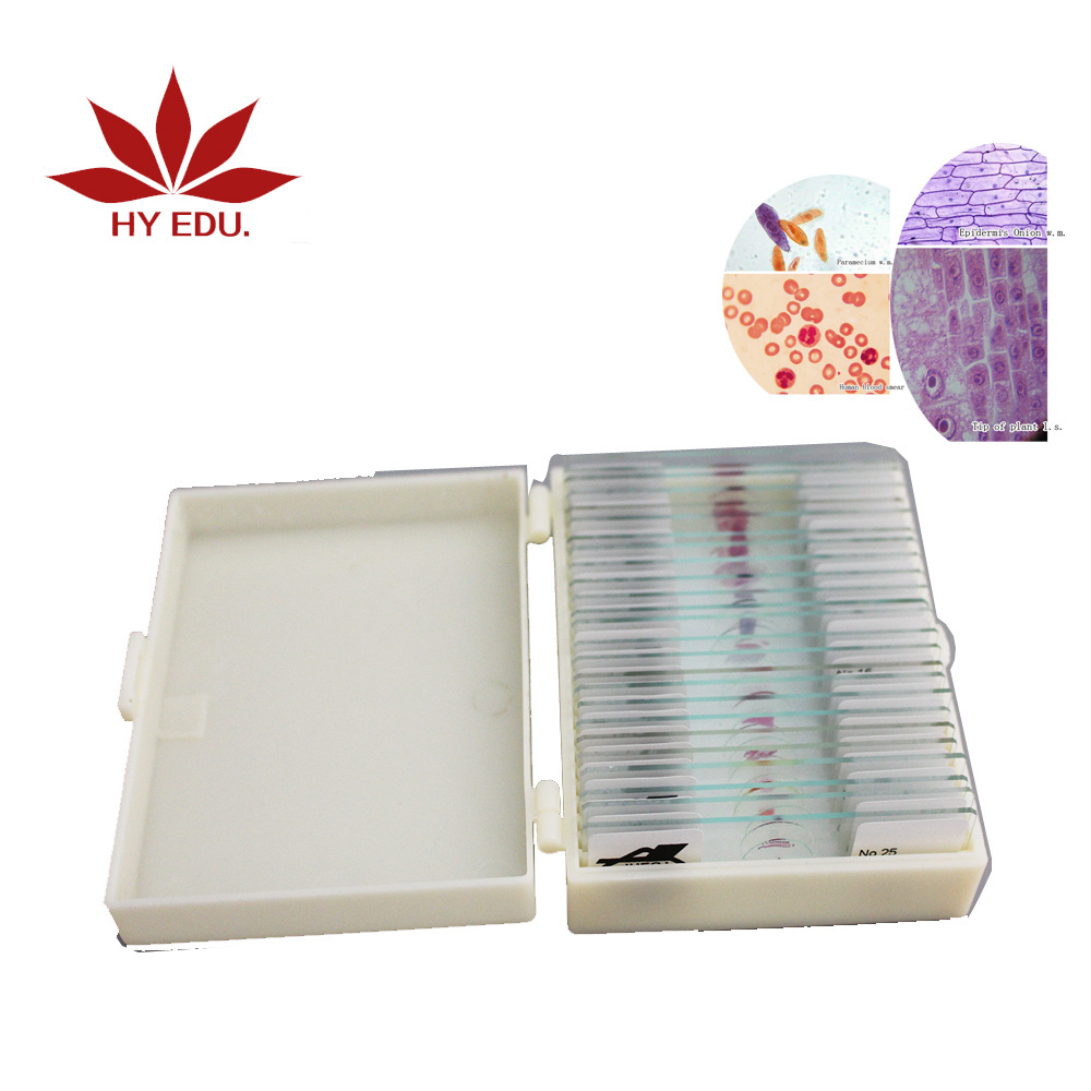 Fixed items Hot selling student learning 25pieces laboratory apparatus zoology microscope slide prepared,laboratory equipment