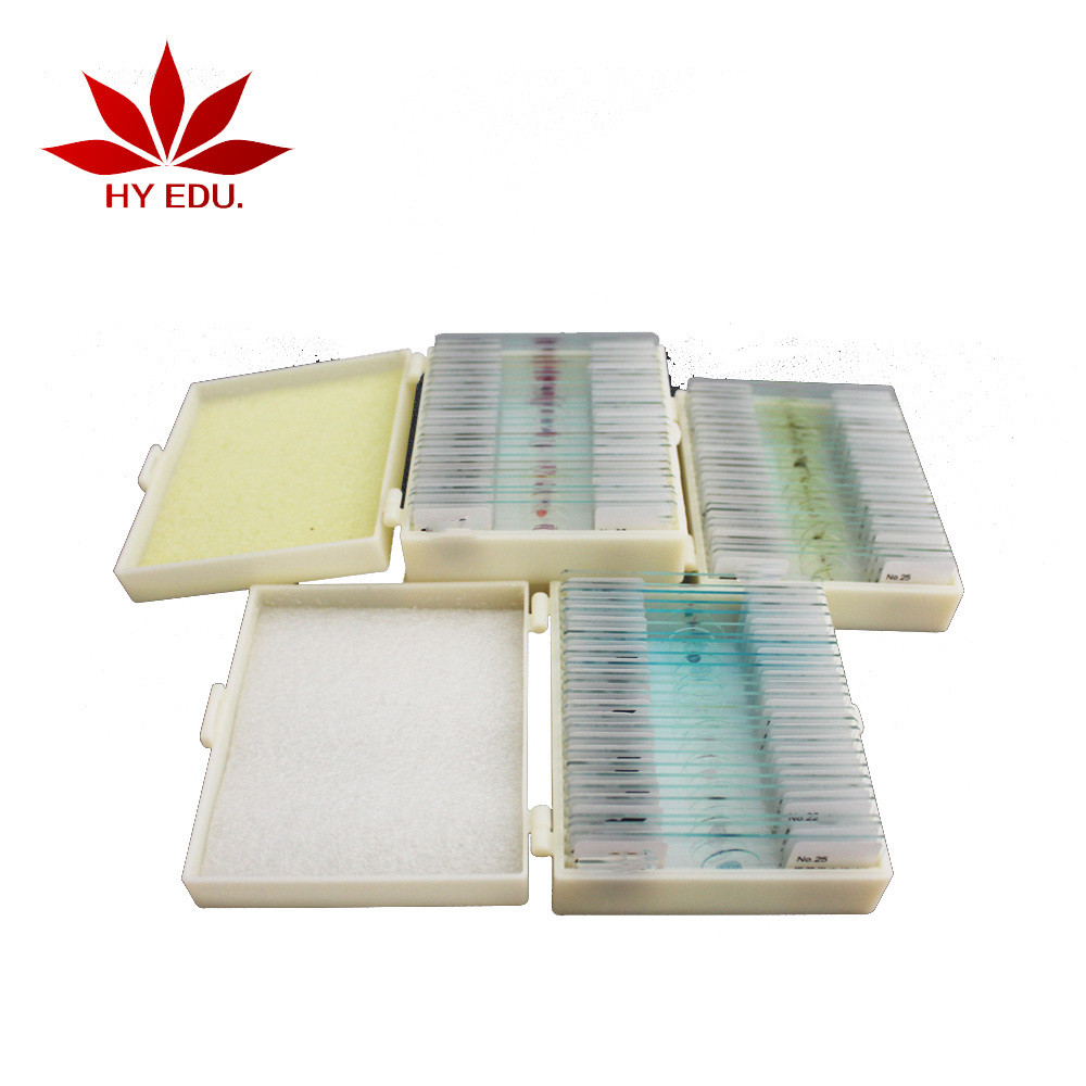 Fixed items Hot selling student learning 25pieces laboratory apparatus zoology microscope slide prepared,laboratory equipment