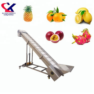 Stainless Steel Fruit Vegetable Scraper Hoist Scraper Elevator