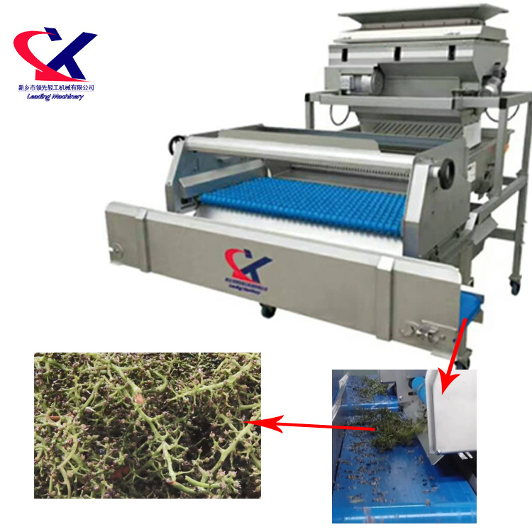 Industrial Automatic grape seed remove machine, grape destoner, grape stone remover machine