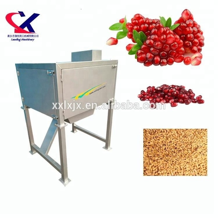 Industrial Grape Seed Separator Machine 2.5t/h Separation Machine for Grape Seed fruit seed separator for orange, grape