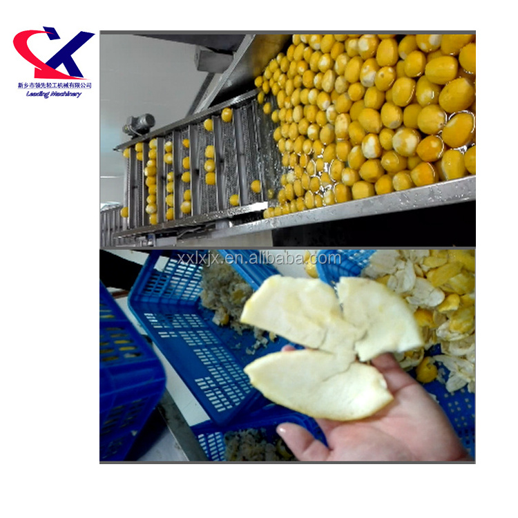 Industrial Fresh Lemon Peeling Machine Lemon Peel Removing Machine Lemon Peeler Machine