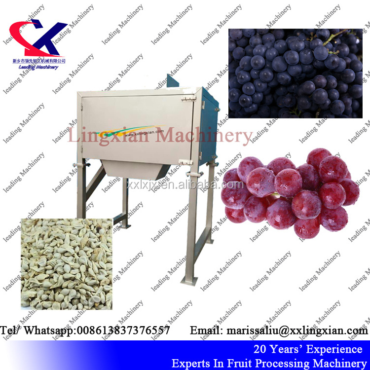 Stainless steel Grape Seeds Removing Machine 2.5t/h Grape Seed Remover/ Grape seed separating Machine