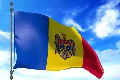 Custom Moldova flags all countries or outdoor use in any size made of digital cotton or polyester with unique logo printing 3x5