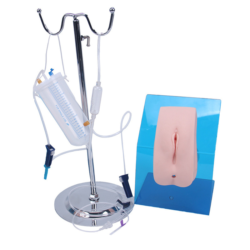 Medical Training Model Medical Nursing Female Catheterization Training Simulator