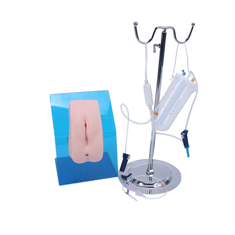 Medical Training Model Medical Nursing Female Catheterization Training Simulator