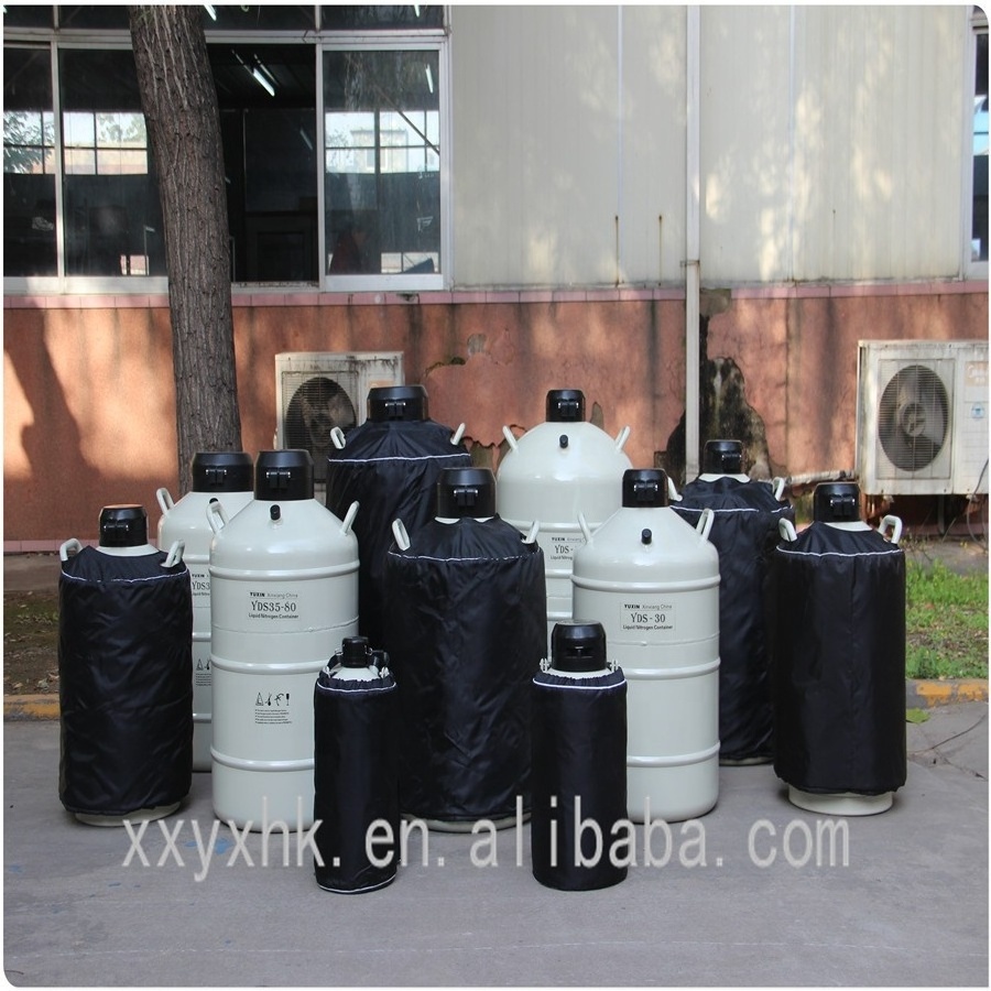 YDS-6 LN2 Dewar Tank with Stainless Steel Canister for Liquid Nitrogen Used New with Core Components Pressure Vessel Pump Farms