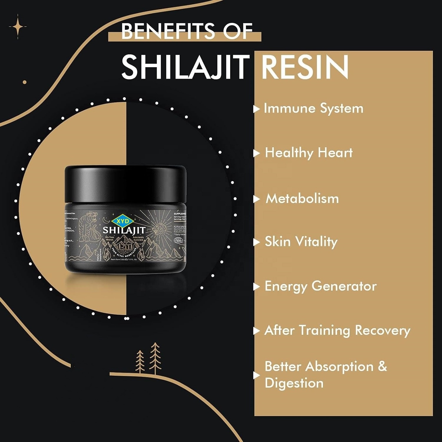 OEM Private Label Pure Natural Shilajit Extract Liquid Himalayan Shilajit Resin Shilajit Capsules