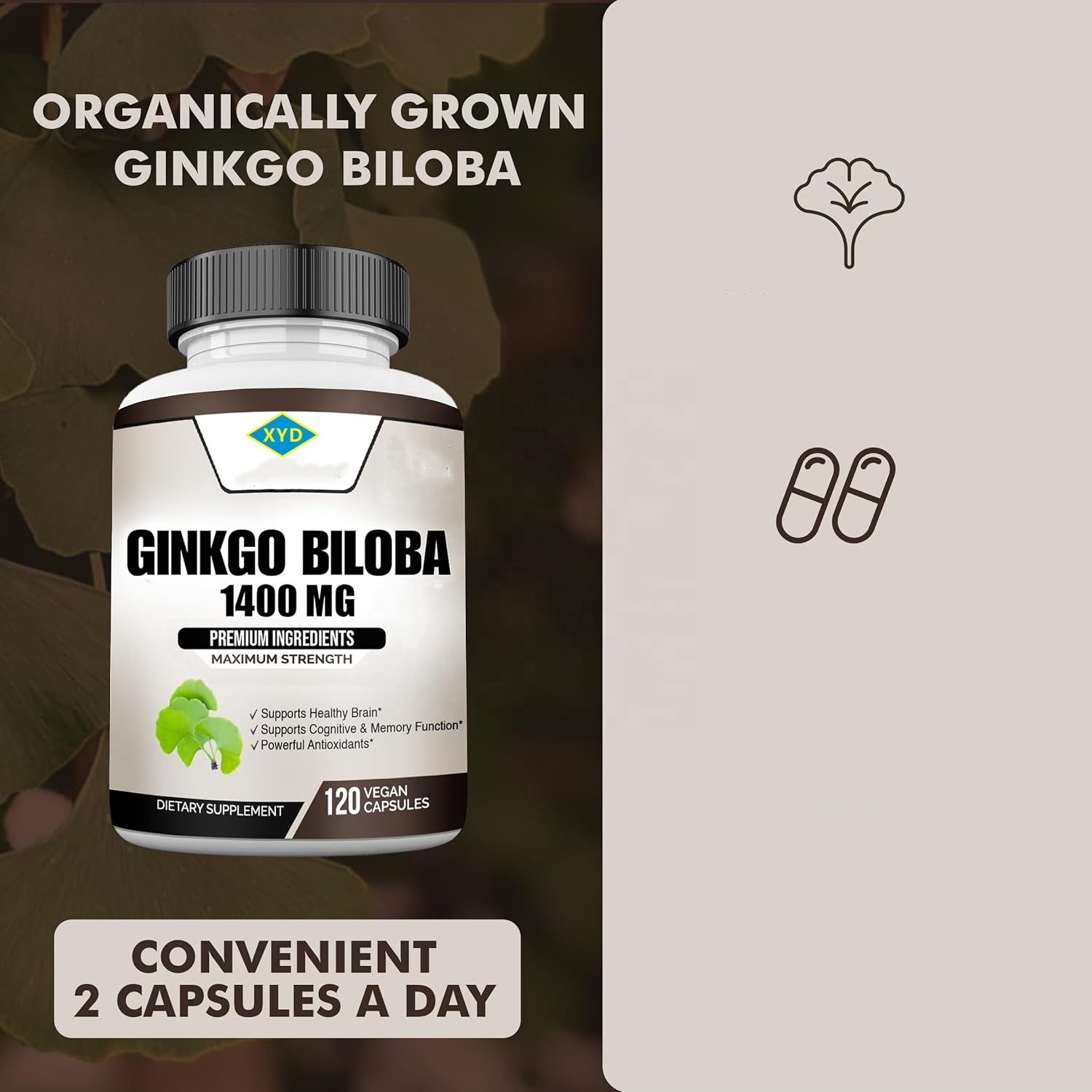 OEM Private Label Ginkgo Biloba Extract Supplement Ginko Biloba Capsules