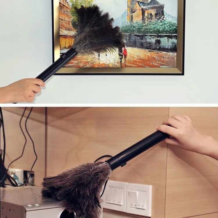 Ostrich feather duster for fast dust removal from cheap cars manufactured by Chinese factories