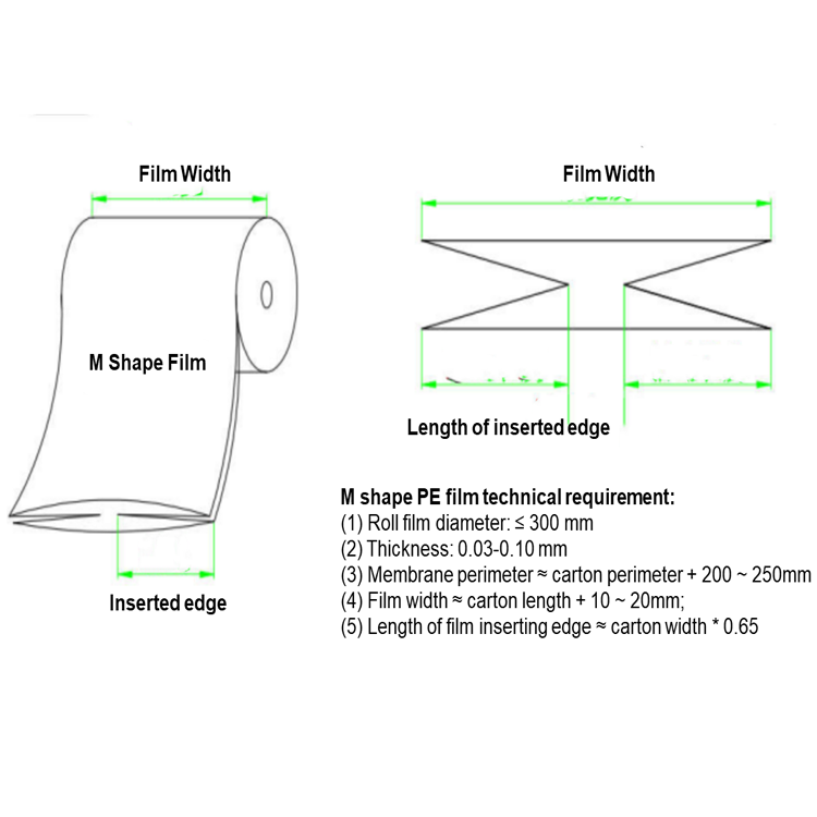 Focus Machinery 2023 new design  bag inserting machine carton bagging machine