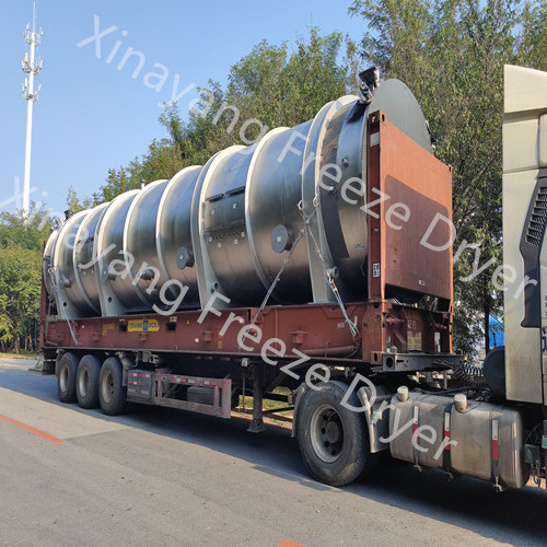 Mini vacuum freeze dryer for sea cucumber, sea food freeze dryer sale of mini freeze dryer