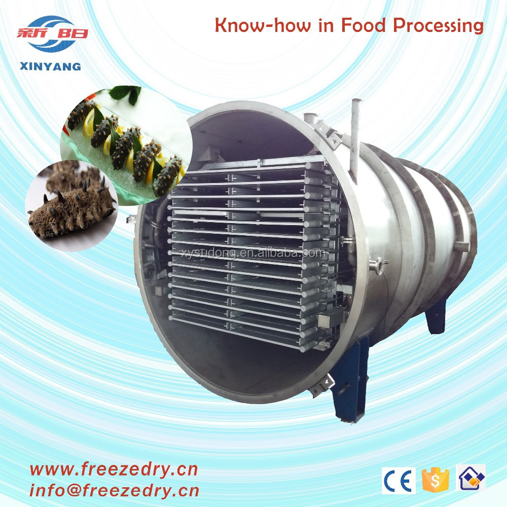 Mini vacuum freeze dryer for sea cucumber, sea food freeze dryer sale of mini freeze dryer