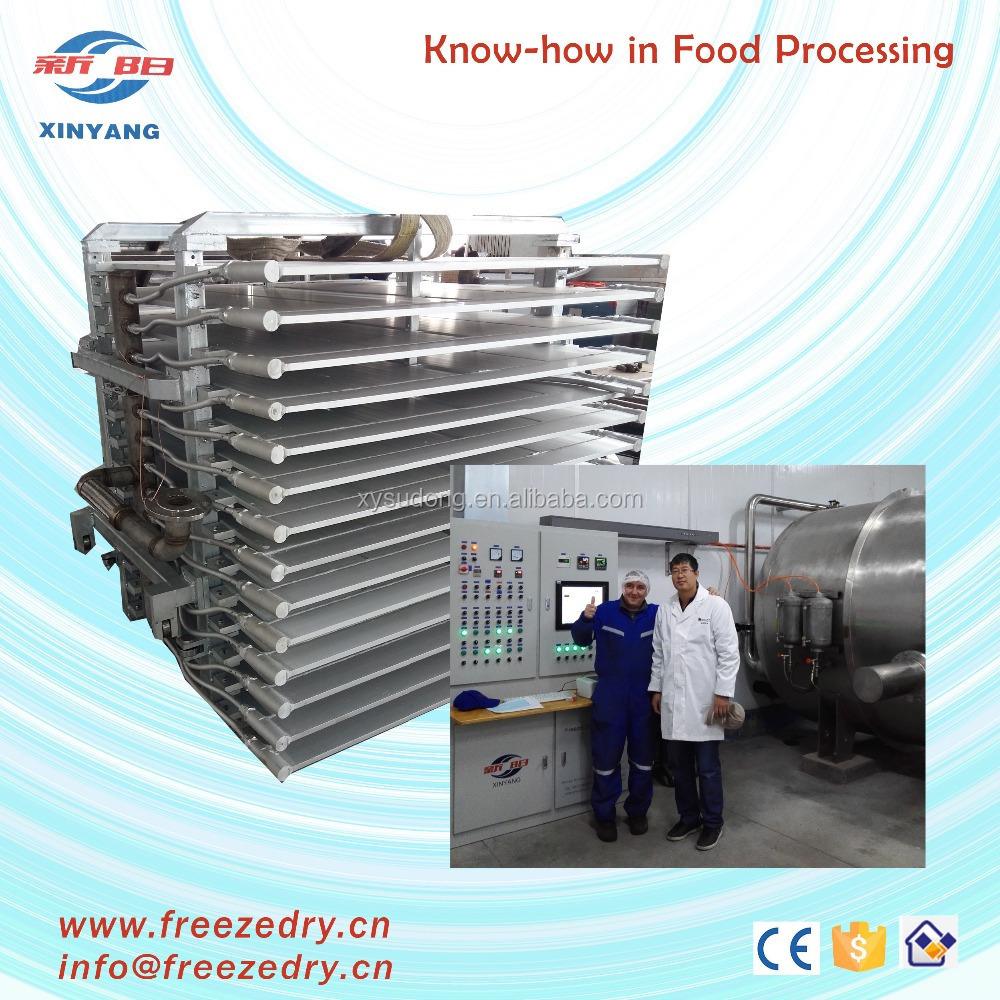 Mini vacuum freeze dryer for sea cucumber, sea food freeze dryer sale of mini freeze dryer