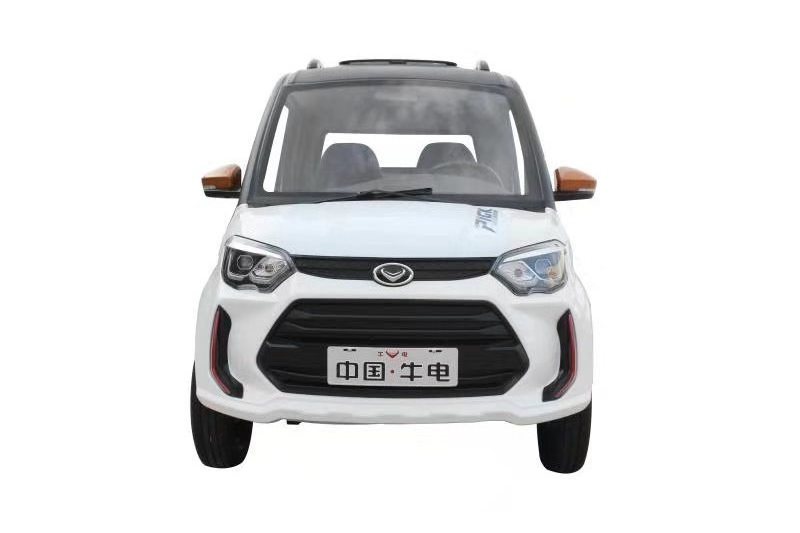 202 new pickup electric vehicle Wholesale electric vehicles and accessories Closed four-wheel electric pickup truck