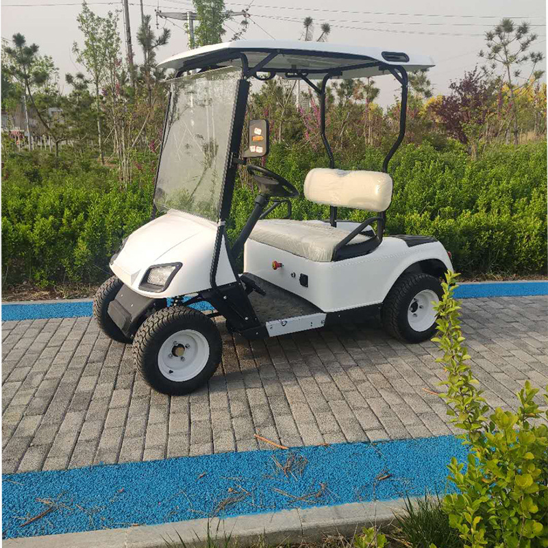 China Made 2 Seaters 4 Wheel Electric Golf Cart Club Car for Adult and Kids Sightseeing