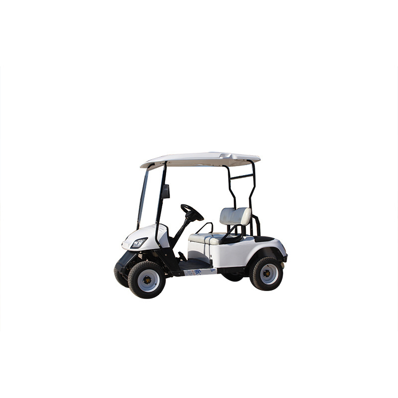 China Made 2 Seaters 4 Wheel Electric Golf Cart Club Car for Adult and Kids Sightseeing