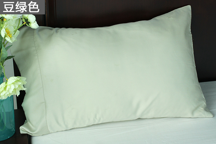 Non-Toxic 100% Bamboo Pillow case