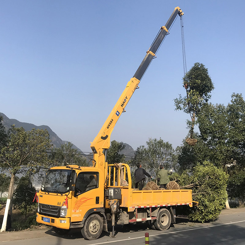 China Hot Selling's 5 Ton Telescopic Hydraulic Manipulator Truck Mounted Crane