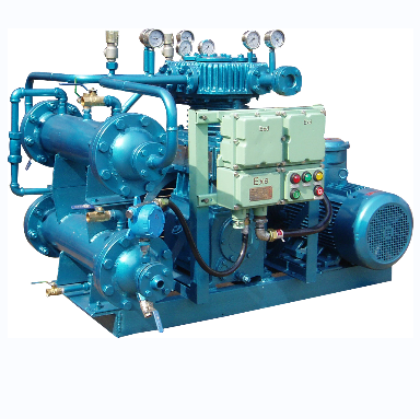 China Hot Selling  Cng Natural Gas Filling Stations Piston Compressors