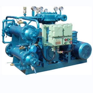 China Hot Selling  Cng Natural Gas Filling Stations Piston Compressors