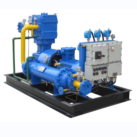 China Hot Selling  Cng Natural Gas Filling Stations Piston Compressors