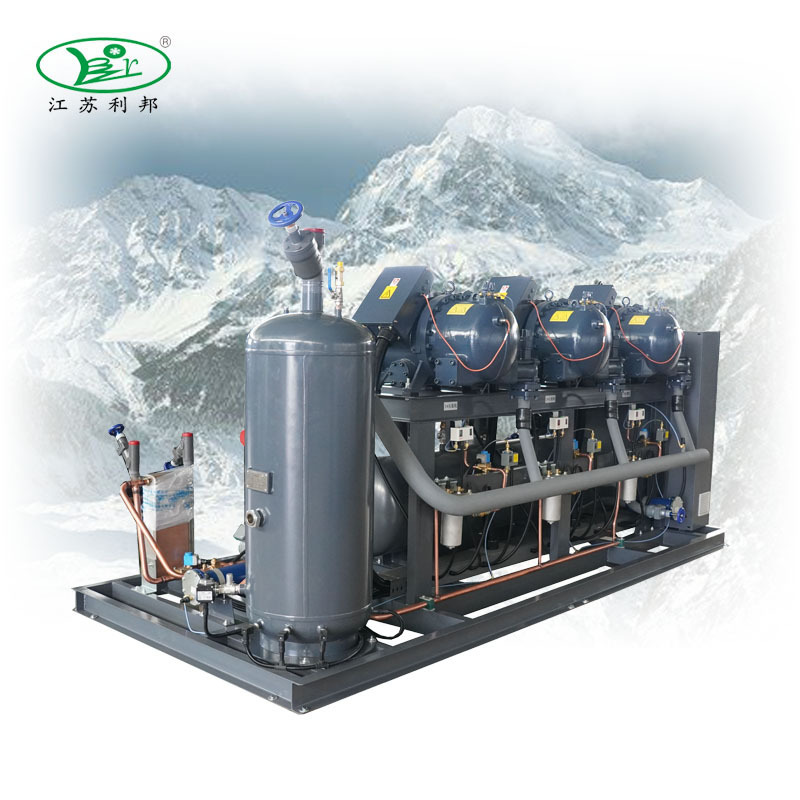 Wholesale Fushen Condensing Unit Screw Compressor Big Cooling Capacity for Mobile Walk in Cold Room