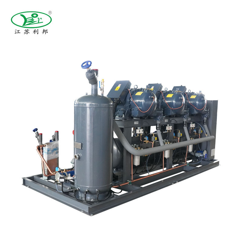 Wholesale Fushen Condensing Unit Screw Compressor Big Cooling Capacity for Mobile Walk in Cold Room