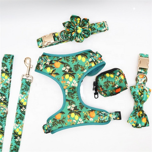 Blue Floral Pet Supplier Wholesale Eco Custom High Quality Sunflower Dog Collar Leash Dog Collar Bow