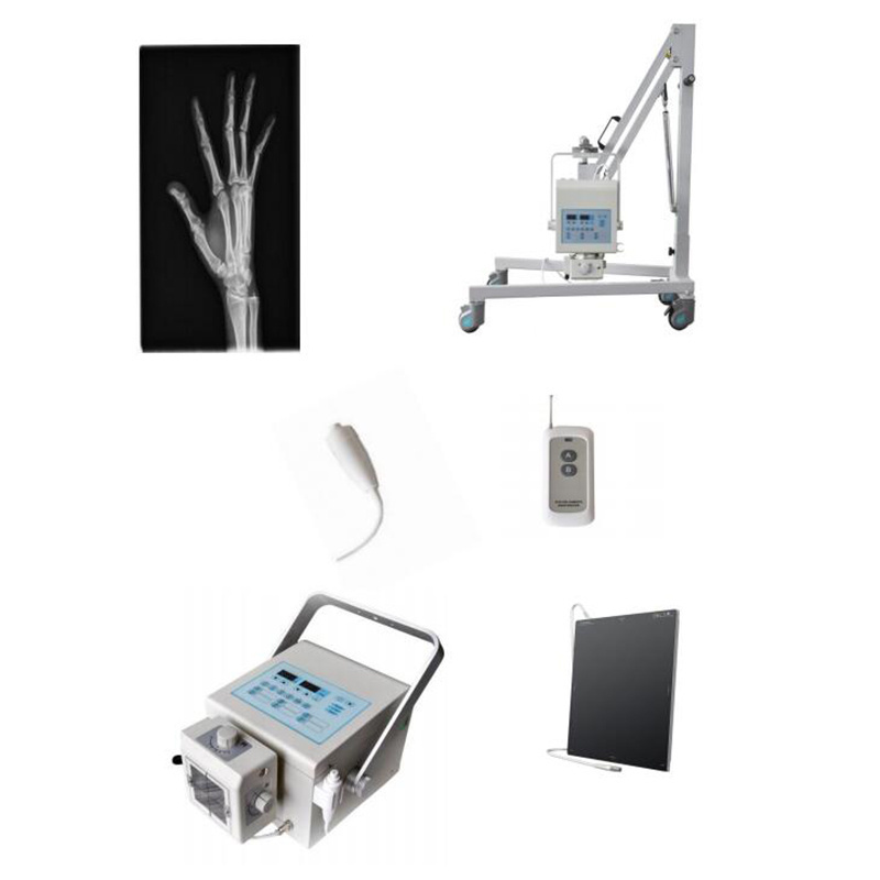 Veterinary Medical High Frequency X Ray Radiography Car Portable Diagnostic Equipment Digital Mobile DR Xray Machine