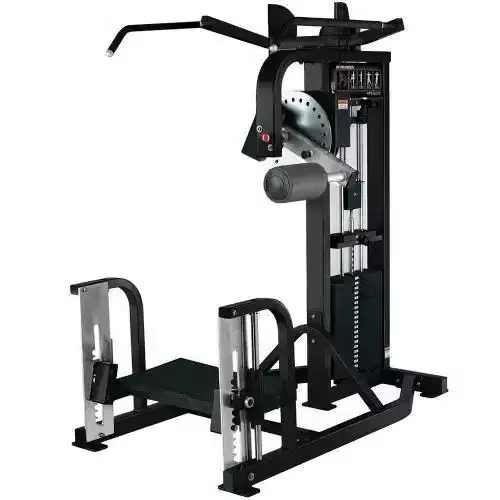 Gym Fitness Commercial  Fitness Equipment Strength Training Pin Loaded Machine Torso Rotation