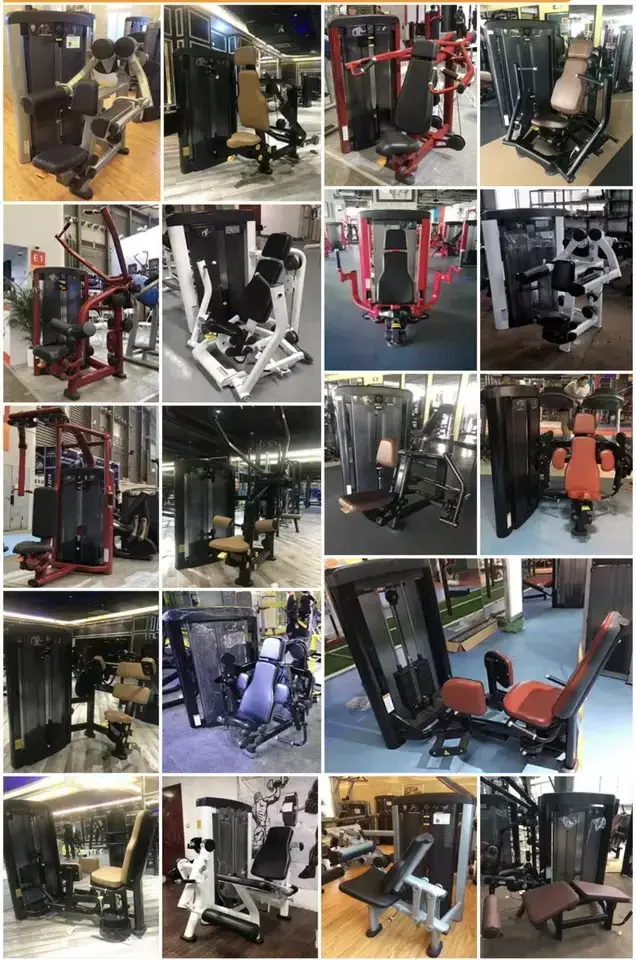 Gym Fitness Commercial  Fitness Equipment Strength Training Pin Loaded Machine Torso Rotation