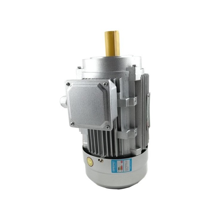 Special series single-phase motor 220V high power 1.5/1.8/3.0/5.5 motor Small two-phase motor