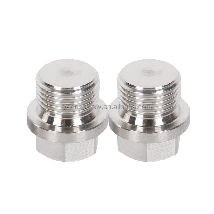 Screws Internal Hex Thread Socket Pipe Plug with Flange and Edge Circle