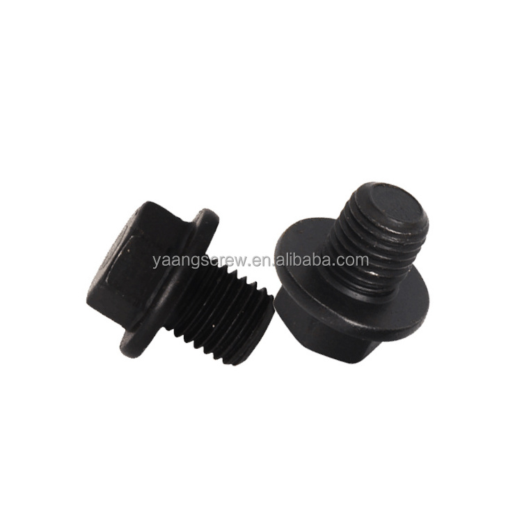 Screws Internal Hex Thread Socket Pipe Plug with Flange and Edge Circle