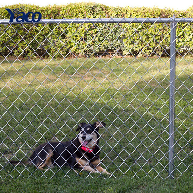 4ftx100ft Galvanized Cyclone wire fence cheap goat fencing