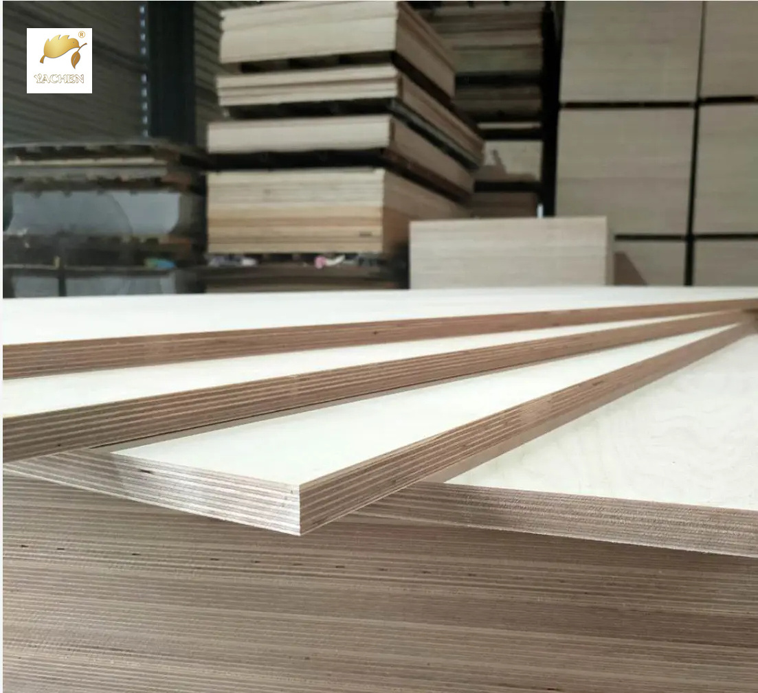 E0/Phenolic glue full birch plywood manufacturer