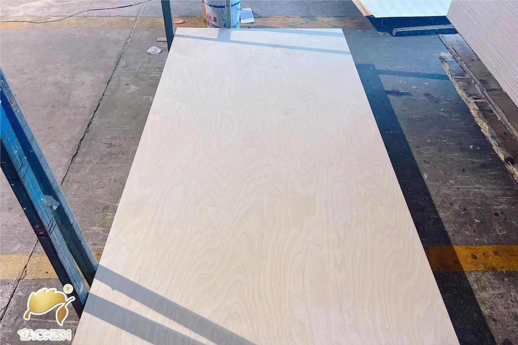 Linyi E0/Phenolic glue full birch plywood manufacturer