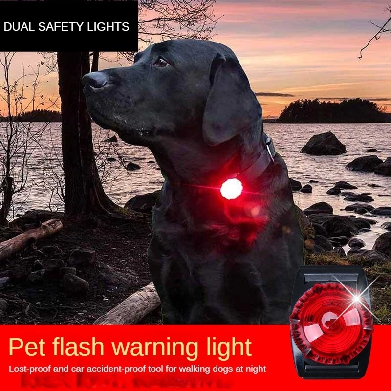 Anti Lost Small Evening Running Jogging Safety Clip On Light Led Flashing Outdoor Walking Dog Pendant Pet Accessory For Collar