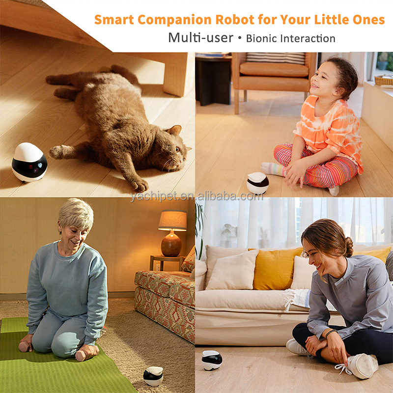 Smart App Wireless Control Ebo SE Pet Companion Robot Camera Laser Automatic Electron Interactive Robotic Cat Toys