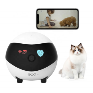 Upgraded 32g Smart App Wireless Control Ebo Pet Companion Robot Camera Laser Automatic Electron Interactive Robotic Cat Toy