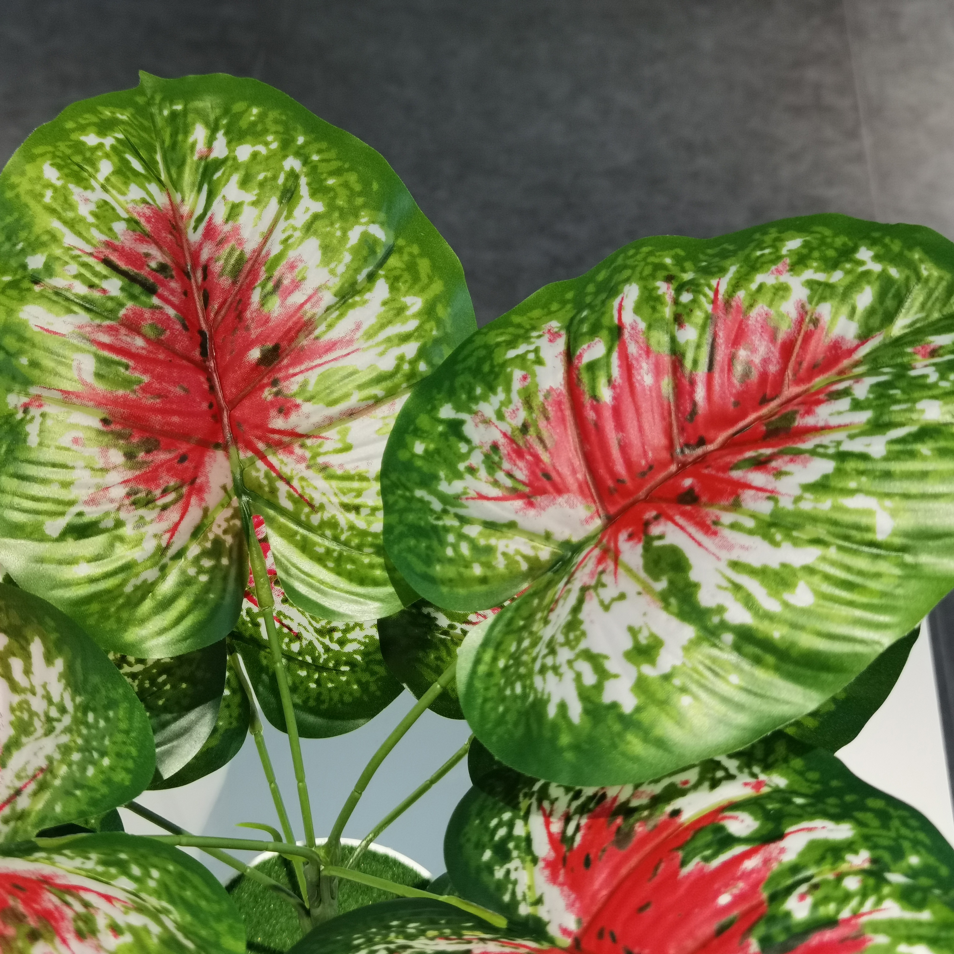 YD8735 Caladium bulb artificial plants home decorative wholesale cheap price indoor plants for sale