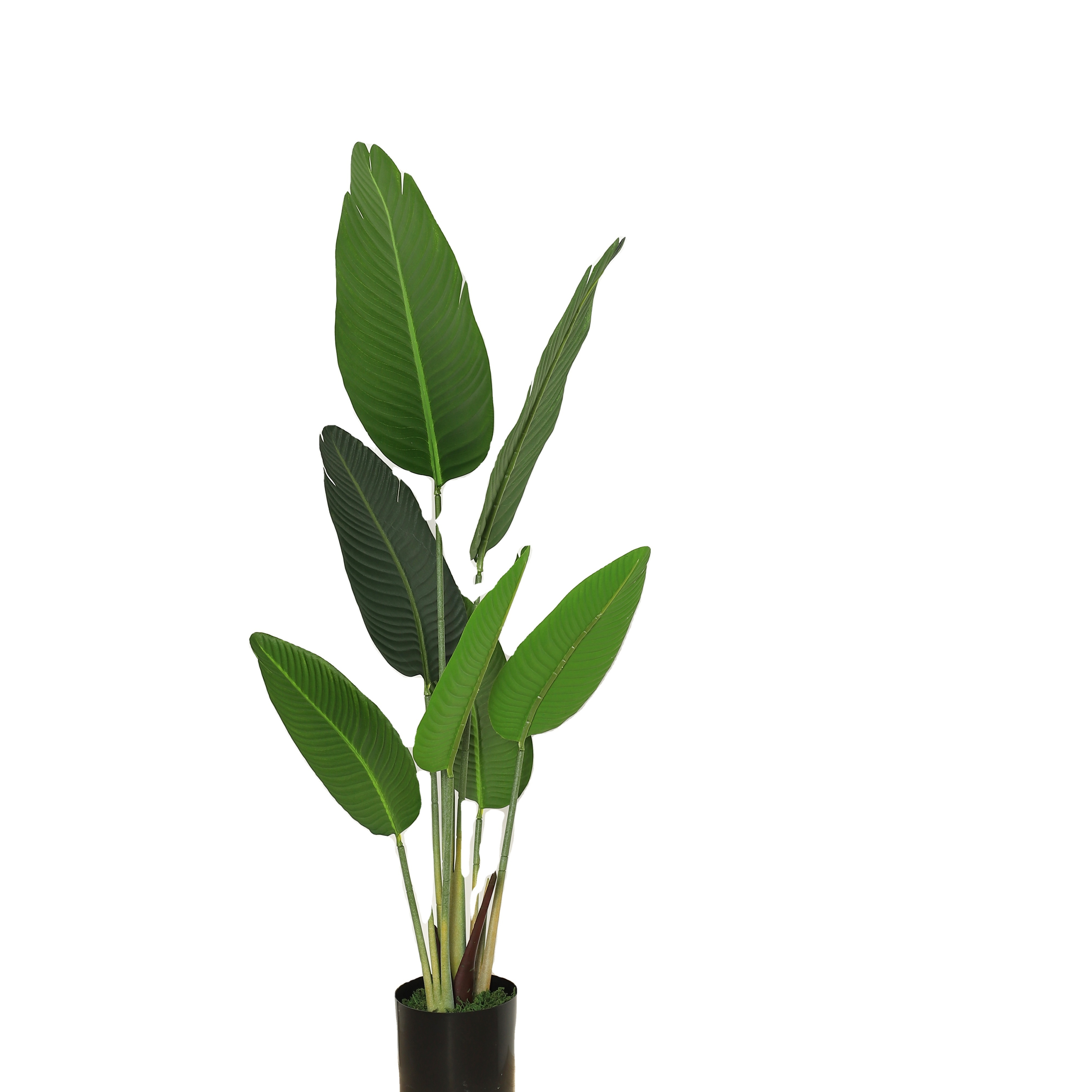 Banana Bonsai Tree Wholesale Real Touch Artificial Banana Trees for Decorative